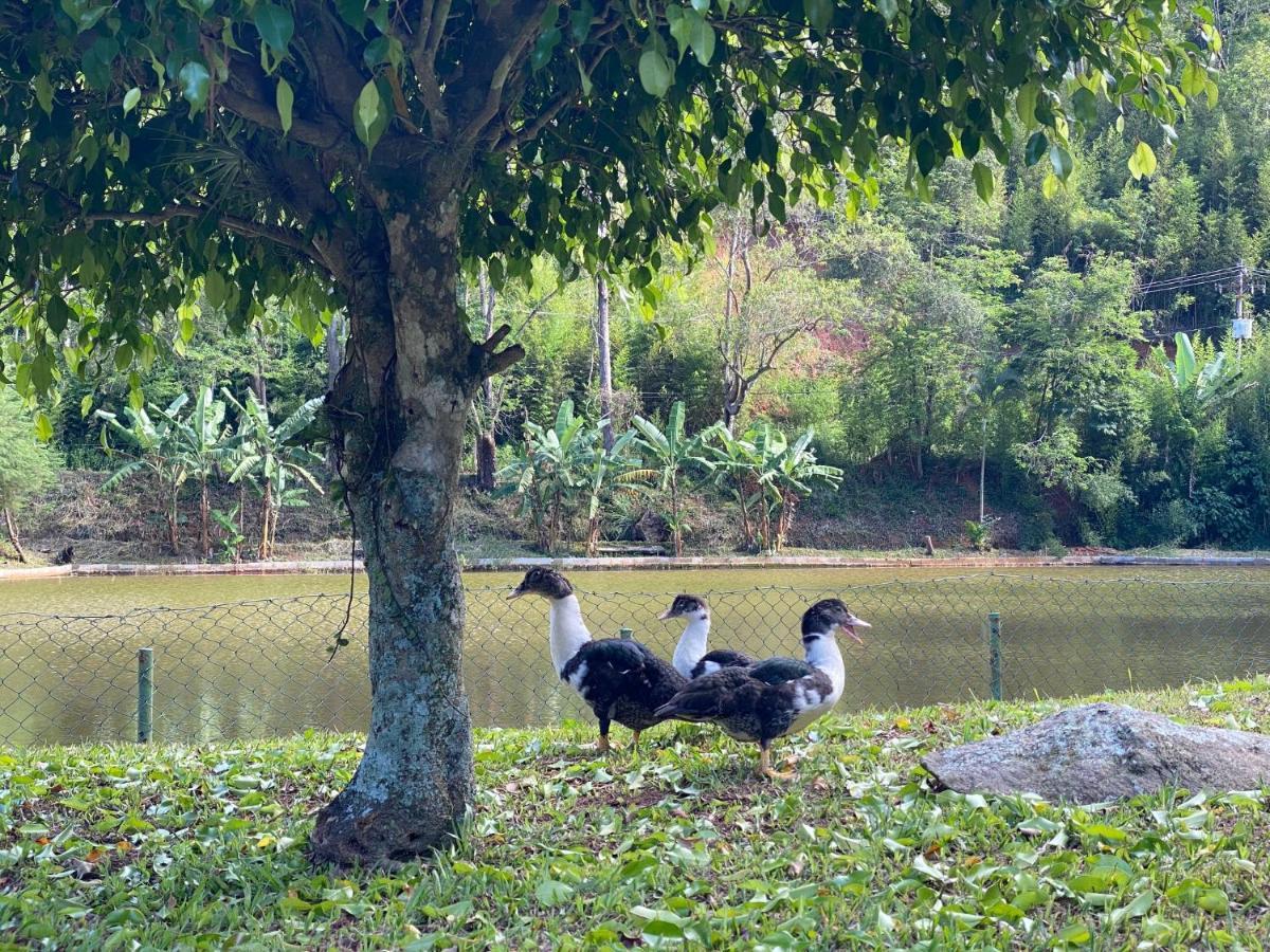 Hotel Fazenda Bonanza Engenheiro Paulo de Frontin Exteriér fotografie